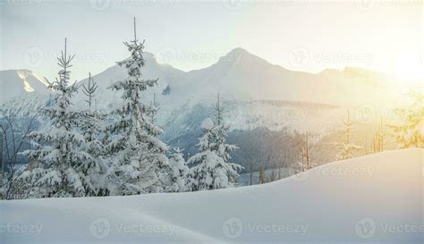 Winter Wonderland Landscape 24526381 Stock Photo at Vecteezy