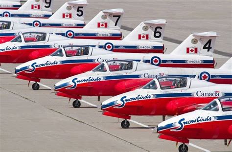 Canada's Snowbirds Royal Canadian Navy, Canadian Military, Military ...