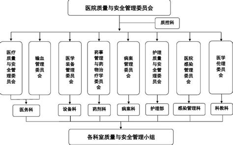 医院质量与安全管理委员会组织架构图word文档在线阅读与下载无忧文档