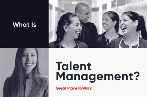 talent management definition strategy processes  models