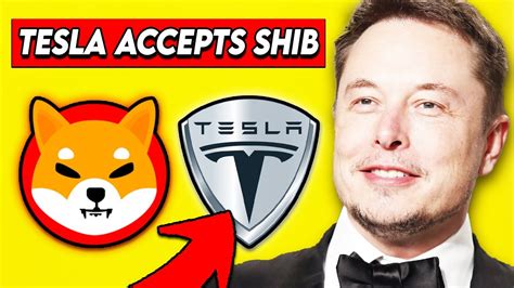 Tesla Ceo Elon Musk Accepts Shiba Inu Coin Shiba Inu To Reach