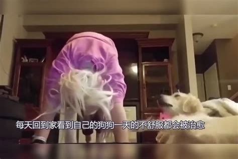 美女与狗同吃同睡，不料半年后肚子疼痛，医生检查后出大问题检查肚子医生