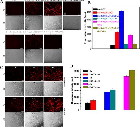 Synergetic Photodynamic Photothermal Chemotherapy Breast Ca IJN