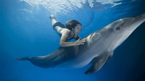 Frau Hatte öffentlich Sex Mit Delfin