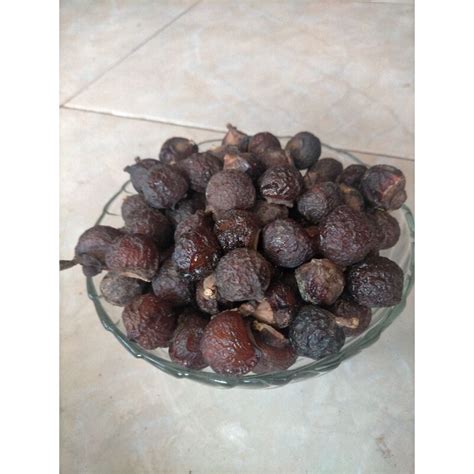 Jual Buah Lerak Asli 1kg | Shopee Indonesia