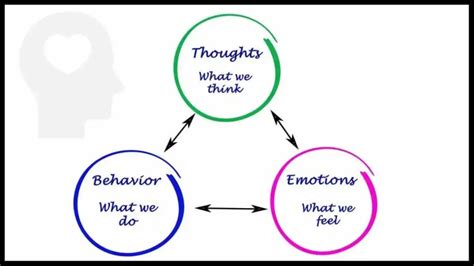 common factors theory   therapy work psychology fanatic