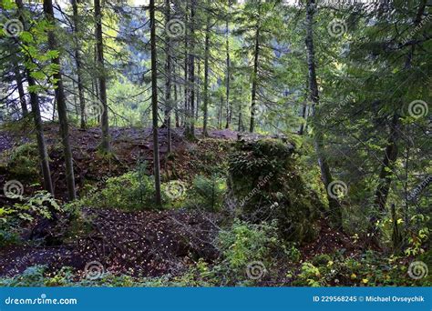 Rocas Blancas Cubiertas De Mosquitos Con Columnas De Usvinskie