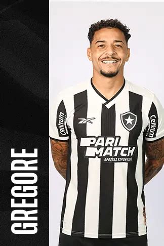 Elenco Profissional Do Botafogo Fogo Na Rede