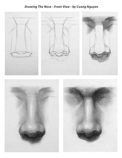 How To Draw A Female Nose Step By Step