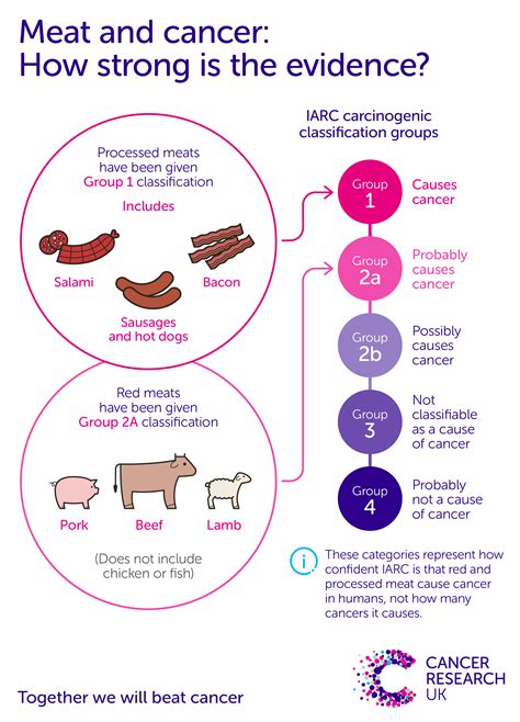 Link Between Processed Meat And Cancer At David Mixon Blog