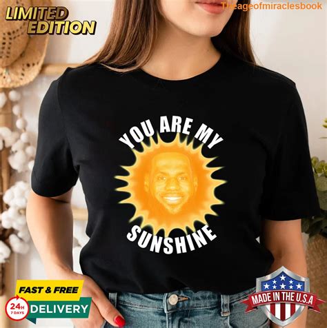 Lebron James You Are My Sunshine Meme T Shirt