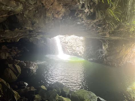 Brisbane Excursión de un día a Springbrook y la Selva Tropical del