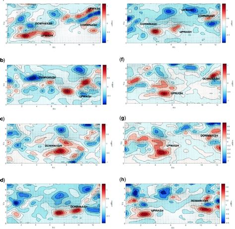 Fluctuated Vorticity And Velocity Maps As A Function Of The Wingbeat