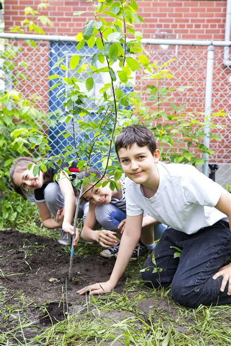 Confirmez Votre Inscription Un Arbre Pour Mon Quartier