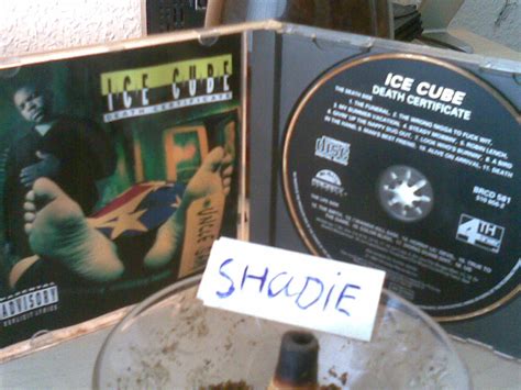 shadie: ice cube - death certificate