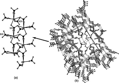 A The 1d Ladder Like [bi So 4 3 H 2 O ] 2− Chain B The 3d Download Scientific Diagram