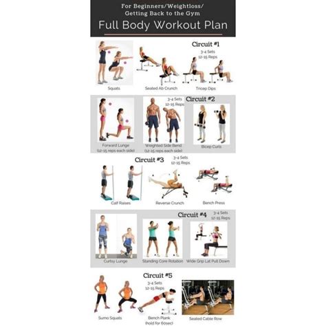 FULL BODY WORKOUT PLANS FOR ALL | Body workout plan, Full body workout plan, Full body workout