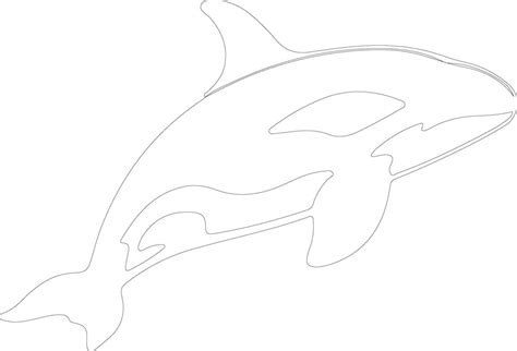 Ai Generated Orca Outline Silhouette Vector Art At Vecteezy