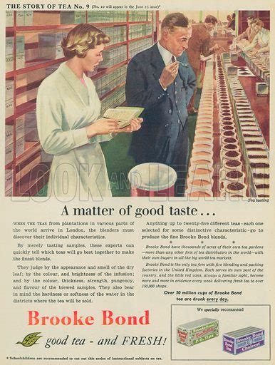 Brooke Bond Tea Advertisement, 1955 stock image | Look and Learn