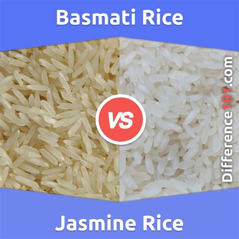 Basmati Rice Vs Jasmine Rice What Is The Difference Between Basmati Rice And Jasmine Rice R