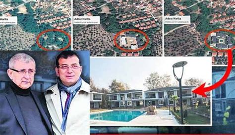 İmamoğlu da Kaz Dağları nda ağaçları kesip villa dikmiş Patronlar Dünyası