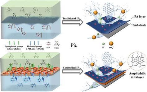 Amphiphilic Interlayer Regulated Interfacial Polymerization For