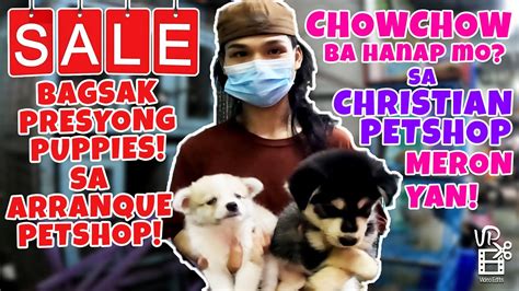 Chow Chow Ba Hanap Mo Meron Yan Sa Christian Petshop Murang Puppies