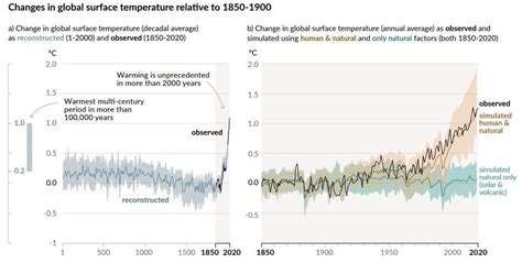 11 Interesting Climate Change Facts Earth Org