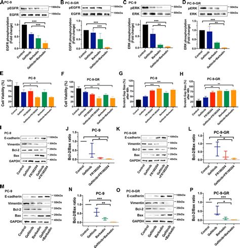 Frontiers Targeting PAR2 Overcomes Gefitinib Resistance In Non Small