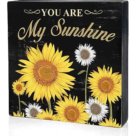 Amazon Inspirational Wooden Box Sign Desk Decor You Are My