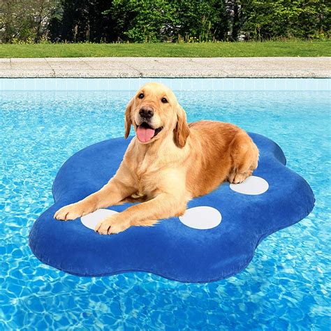 Best Pool Accessories For Your Summer Pool Party - Beach Life Bliss ...