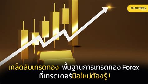 เคล็ดลับเทรดทอง พื้นฐานการเทรดทอง Forex ที่เทรดเดอร์มือใหม่ต้องรู้ Thaiforexreview