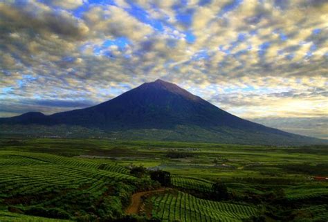 Rei Jambi Usul Pembentukan Kek Pariwisata Di Kabupaten Kerinci