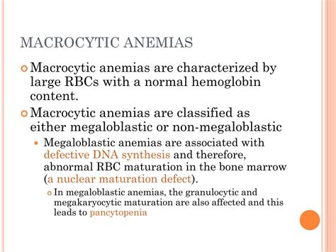 Ppt Macrocytic Anemias Powerpoint Presentation Free Download Id 259612