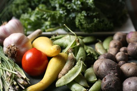 Organic farmers could feed the world - Euractiv