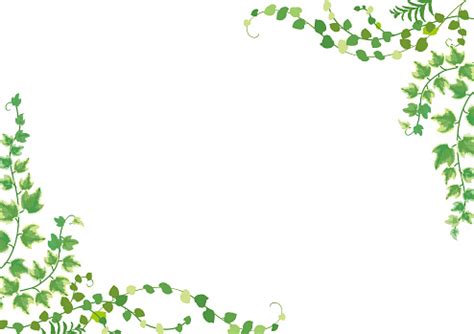 vector illustration  green leaves  white background stock