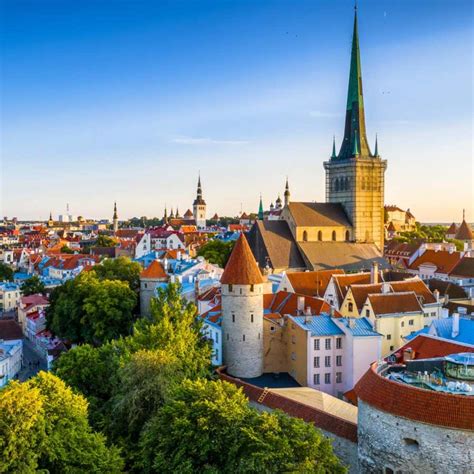 nordic cuisine   nordic food movement