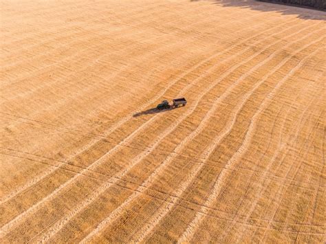 Premium Photo Harvester Machine Working In Field Combine Harvester