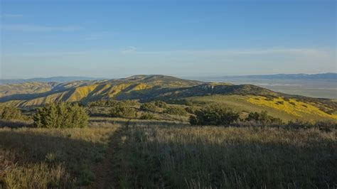 Hiking Caliente Mountain Ridge Trail in Carrizo Plain National Monument ...