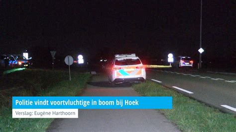 Politie Vindt Voortvluchtige In Boom Bij Hoek Hvzeeland Nieuws En Achtergronden Rond