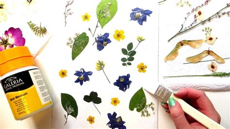 How To Make Pressed Flower Art Pressing Flowers In A Book Youtube