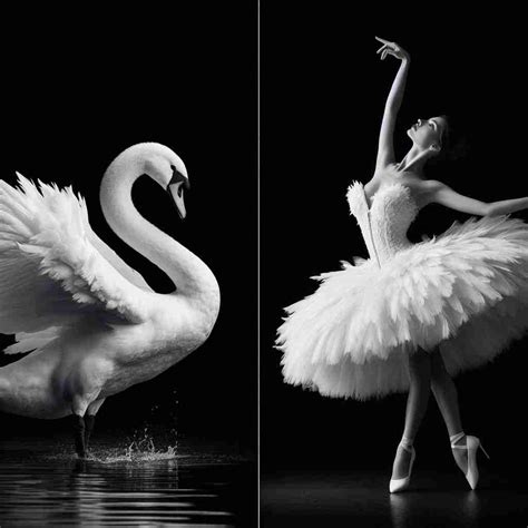 Swan Vs Human Key Differences Explained Unleash Your Human Comparison