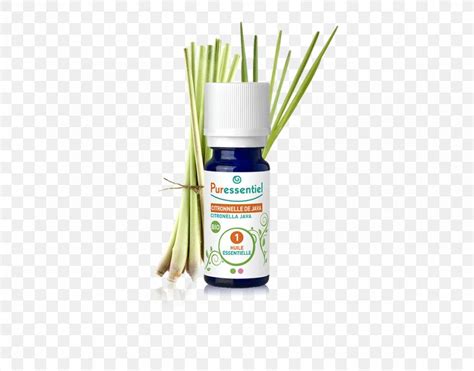 Cymbopogon Citratus Essential Oil Citronella Oil Organic Food, PNG ...