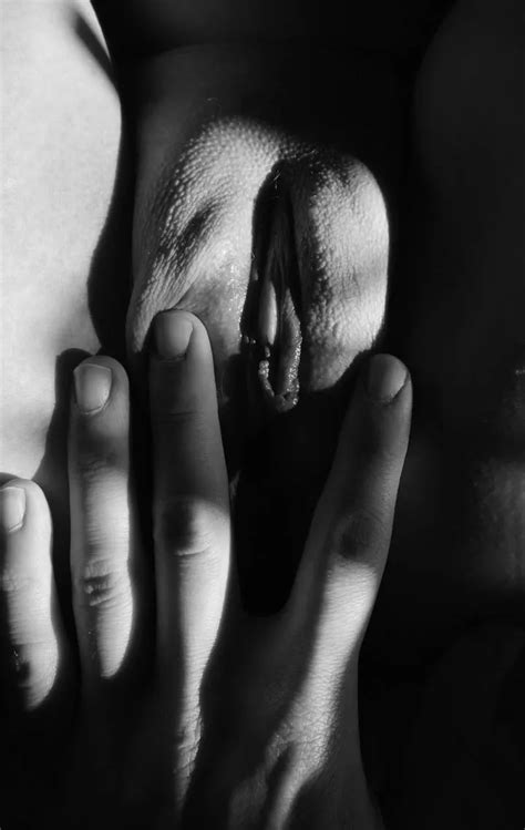 My Personal Sunset Nude Pics XHamster