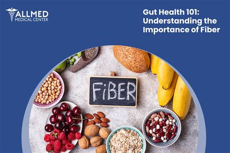 Gut Health 101: Understanding the Significance of Fiber