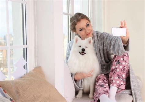 how to make your dog love you