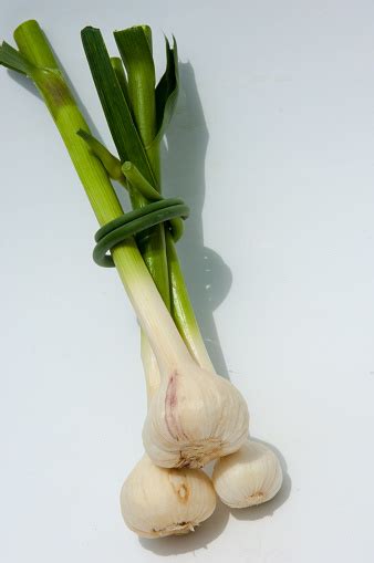 bawang putih bawang putih terisolasi  latar belakang putih foto stok
