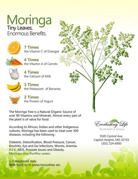 140 Benefits Of Moringa Ideas Moringa Moringa Benefits Miracle Tree