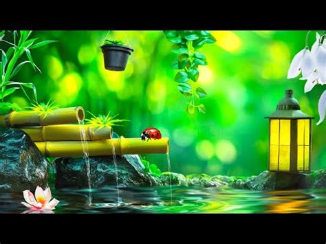 Relaxing Music Relieves Stress Anxiety And Depression Sounds Of