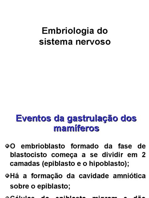 Embriologia Do Sistema Nervoso Pdf Cérebro Morfologia Biologia